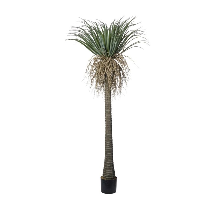 PIANTA YUCCA CON VASO CM200 GREEN
